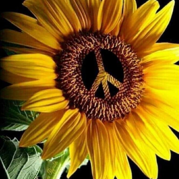 Meet your Posher, Lisa - Picture 1 of 2